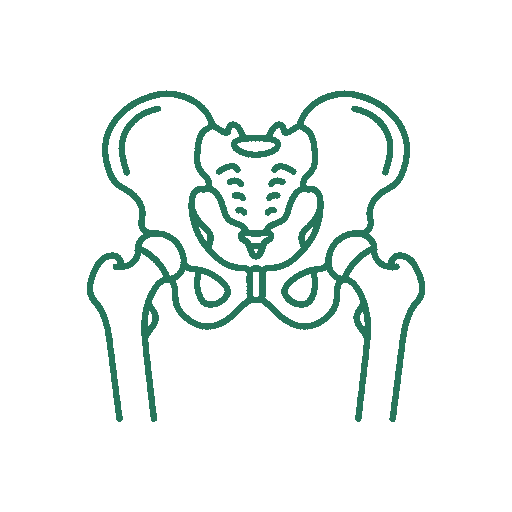 Hip replacement icon