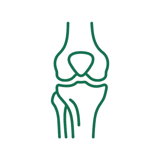 Knee replacement icon