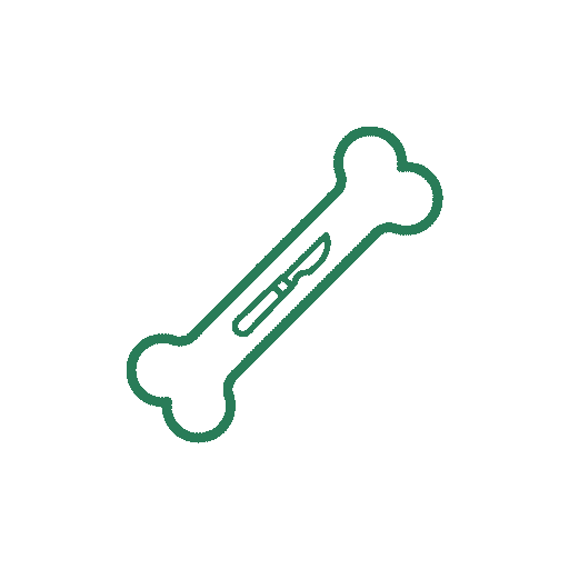 Orthopedic care icon
